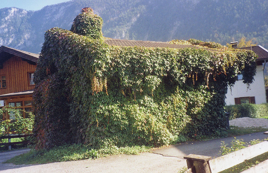 Waschhäuser, Brunnen, Holzhütten, Machlstuben, | Unken