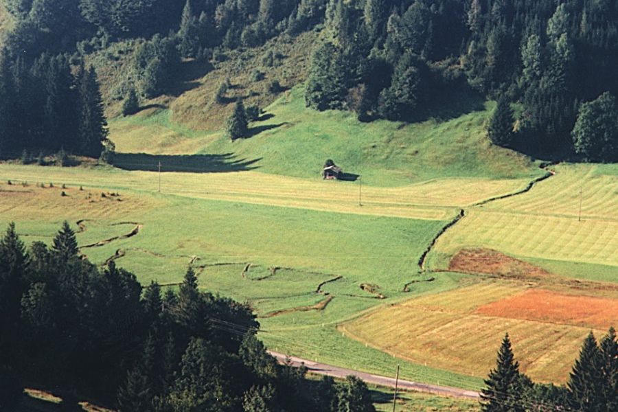 Der Mäanderbach im Heutal